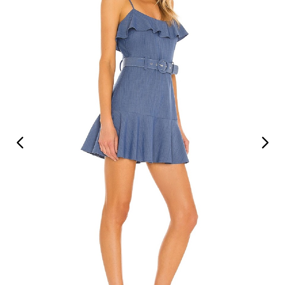 Lovers + Friends Blue Ruffle Mini Dress - Picture 2 of 10
